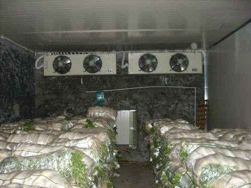产地果蔬冷藏保鲜库设施新增库容达1200万吨以上守护“菜篮子”